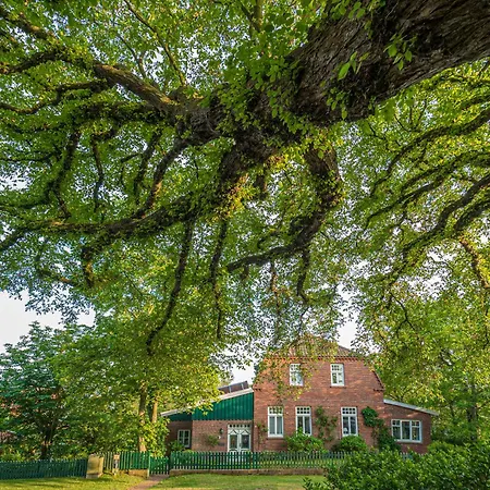 Apartament Waterkant 2